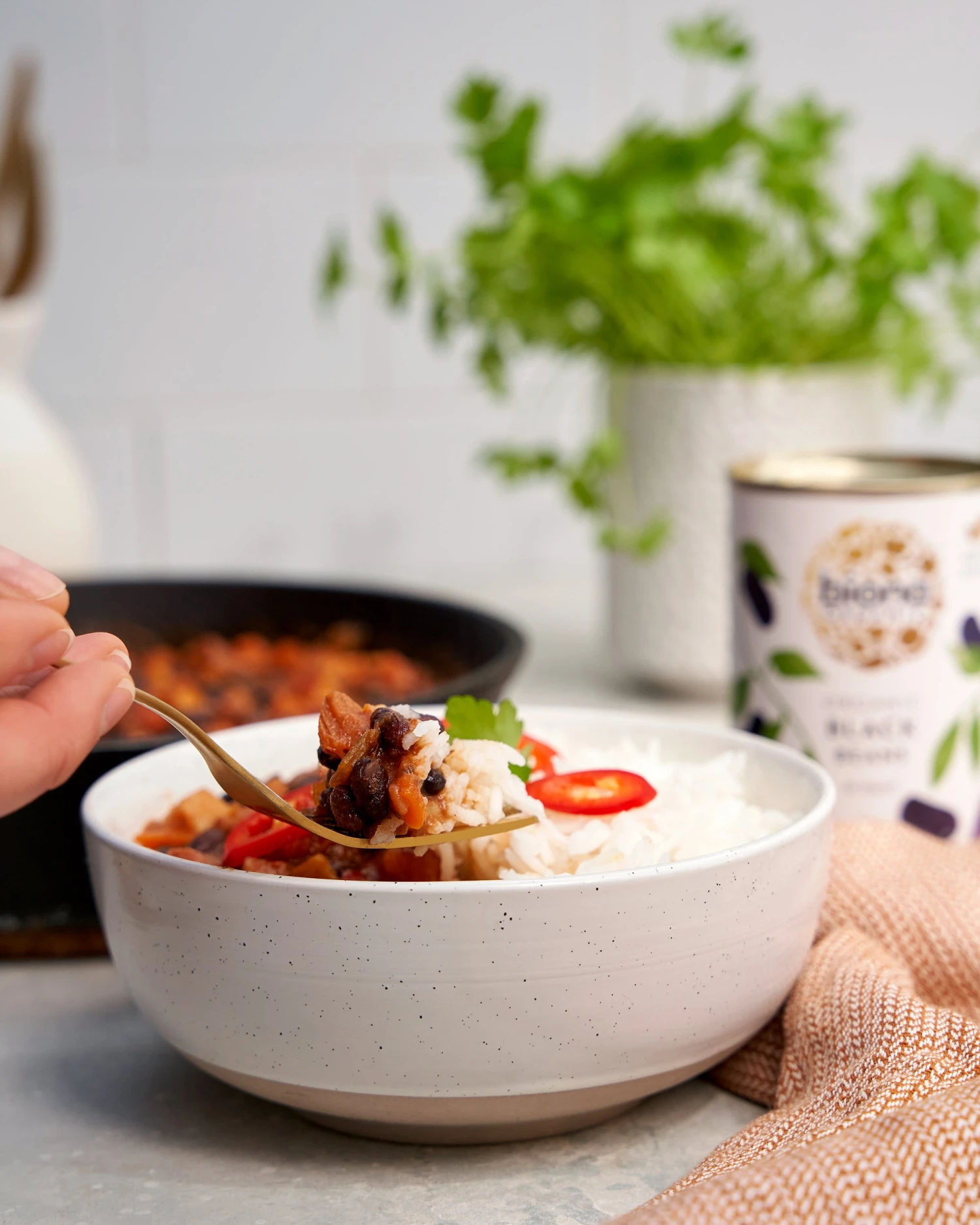 BLACK BEANS - 6 PACK 2 BLACK BEANS - 6 PACK - Image 2